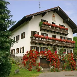 https://zum-dammerbauer.com-bavaria.com